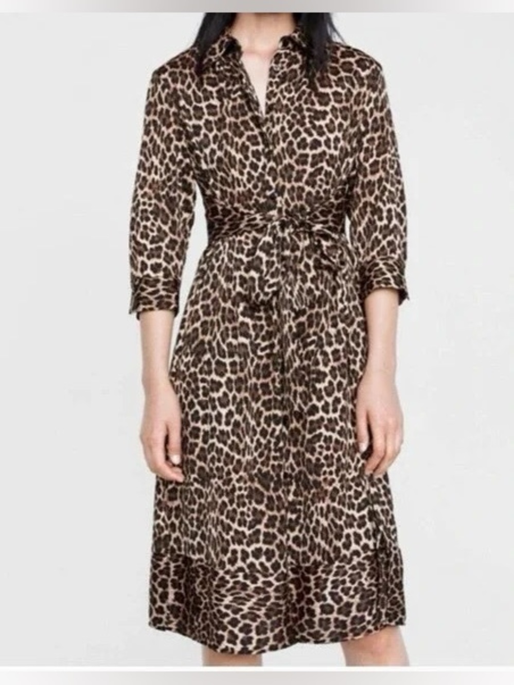 ZARA | Leopard Print Tie Midi Dress, Large